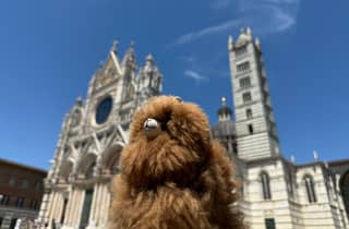 Private Tagestour: Val d'Orcia, Siena & Montalcino