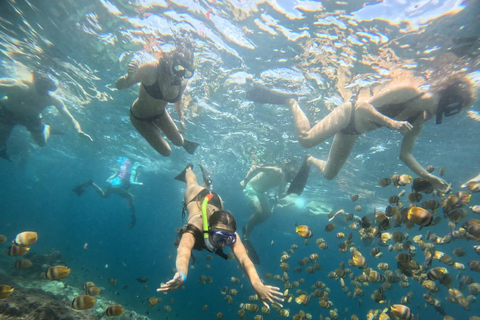 Bali: Blue Lagoon en Tanjung Jepun snorkeltour met ...