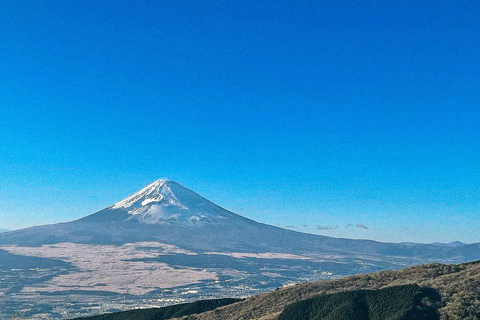 Tokio: Excursión de un día a Fuji y Hakone: onsen, arte y naturalezaExcursión en grupo en monovolumen