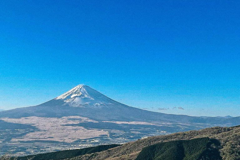 Tokio: Dagtrip Onsen, kunst en natuur naar Fuji en HakoneGroepsreis in een minibus