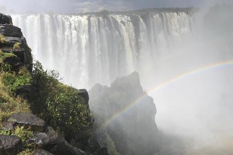 Visite guidée des chutes Victoria