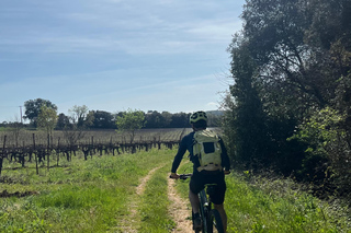 Château Capion: Bike ride in the vineyards and wine tasting