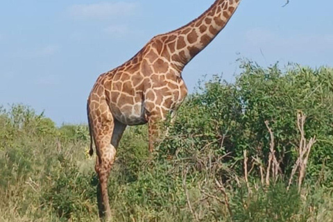 Nairobi: Overnight Adventure in Aberdare National Park