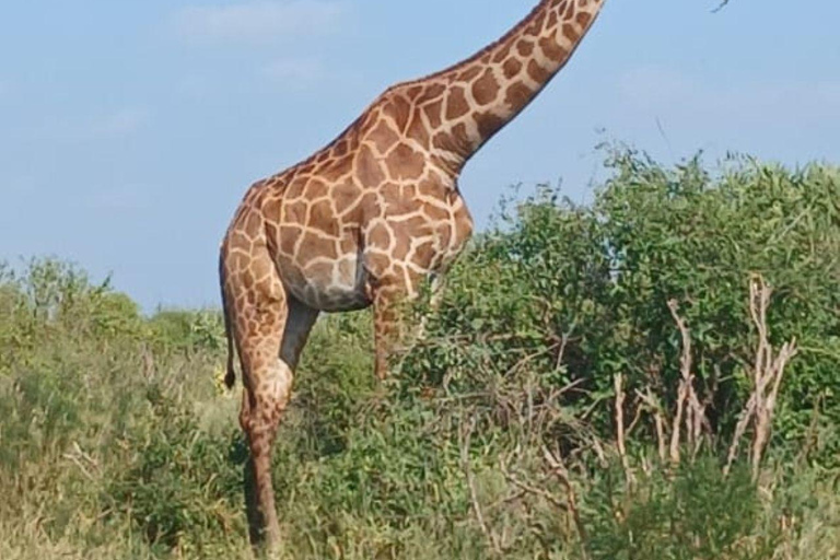 Nairobi: Overnight Adventure in Aberdare National Park