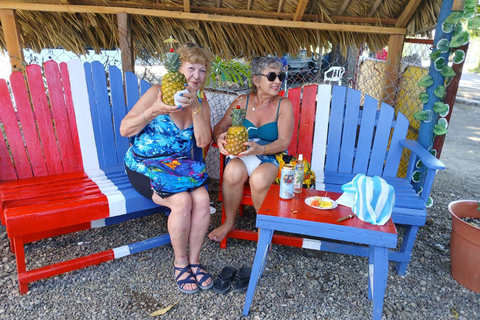 Puerto Plata: Countryside tour with Monkey Home, butterflies, and coffee