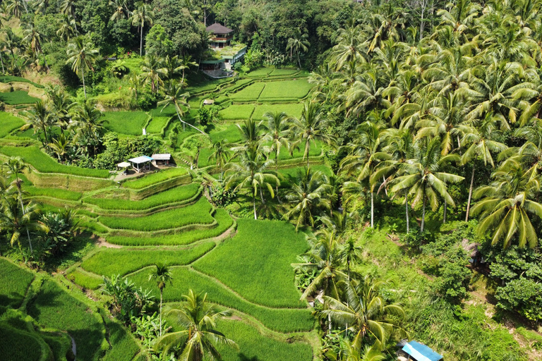 BALI: Foto- och videoshoot, skräddarsydd privat tur,✅Upptäck nordvästra vattenfall