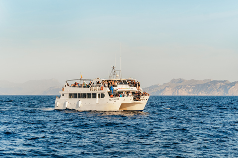 Mallorca: zonsopgang op het water en dolfijnentour