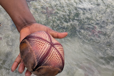 Kuza Cave, Hidden Mtende Beach & The Rock Restaurant Private tour with NO hotel transfer But Include Entry Fee.