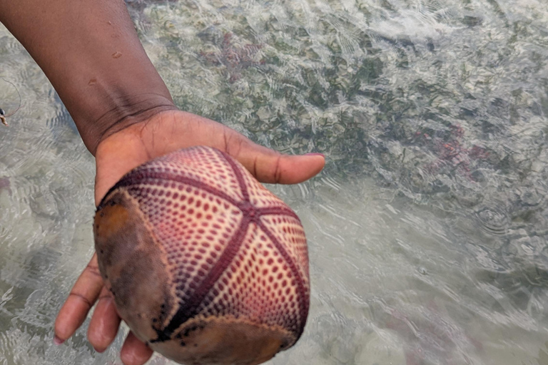 Kuza Cave, Hidden Mtende Beach & The Rock Restaurant Private tour with NO hotel transfer But Include Entry Fee.