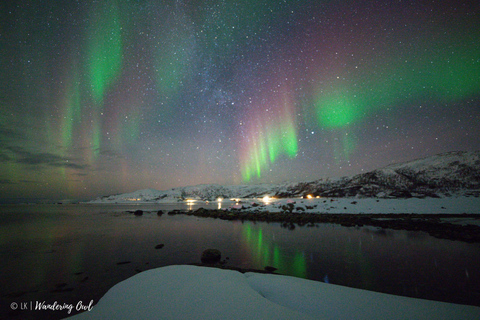 Tromsø: Express Aurora Hunt