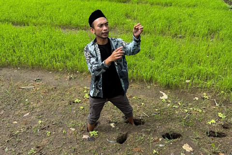 特特巴图：瀑布、香料、梯田、猴子森林特特巴图之旅、香料、瀑布、梯田、猴林