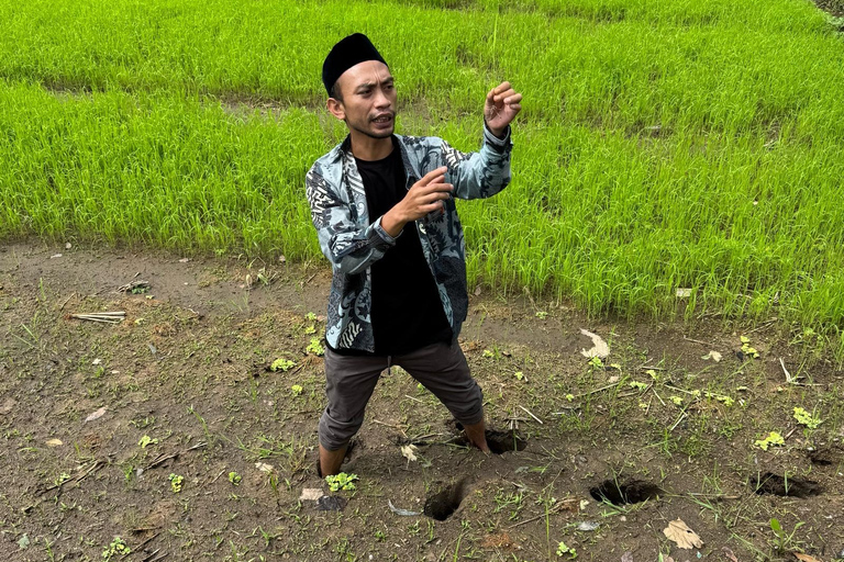 特特巴图：瀑布、香料、梯田、猴子森林特特巴图之旅、香料、瀑布、梯田、猴林