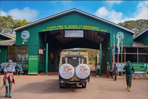 Safari di 2 giorni da Zanzibar al Tarangire e al cratere Ngorongoro