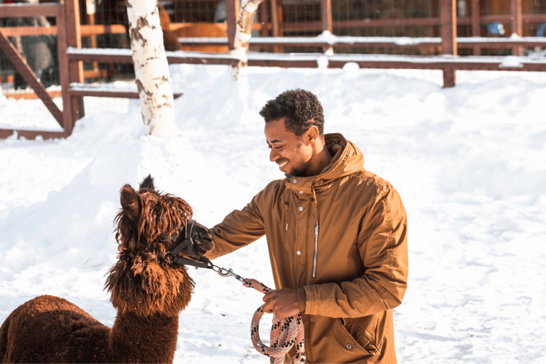 Seoul: SnowyLand in Vivaldi Park with Nami or Alpaca Group Tour with Alpaca World from Hongik University Station