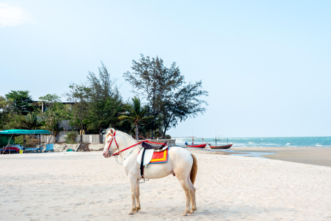 Negril: Horseback Riding Tour with Photos and Video included