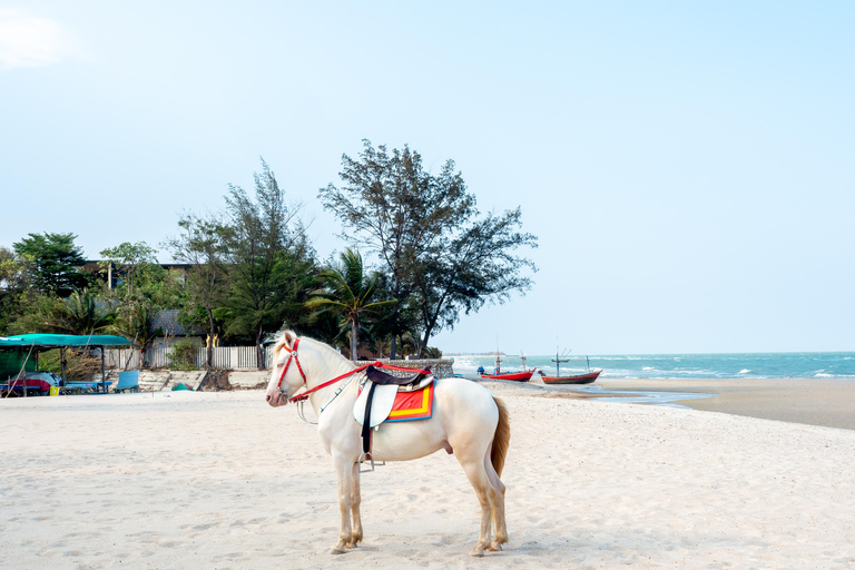 Negril: Horseback Riding Tour with Photos and Video included