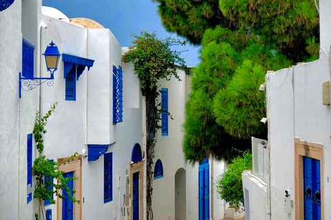 Tunis: Medina, Carthage, & Sidi Bou Said Private Tour Pick-up From: Sousse, or Monastir