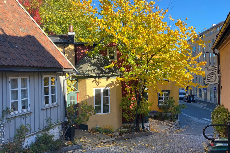 Oslo: Private Vintage Walking Tour with Photos Private Vintage Oslo Walk & Aesthetic Photos