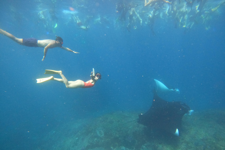 From Bali: Explore West Nusa Penida with Snorkeling From Bali: Nusa Penida West Highlights with Snorkeling