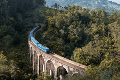 Ella: Full Day 6Highlights Tour by Tuk-Tuk