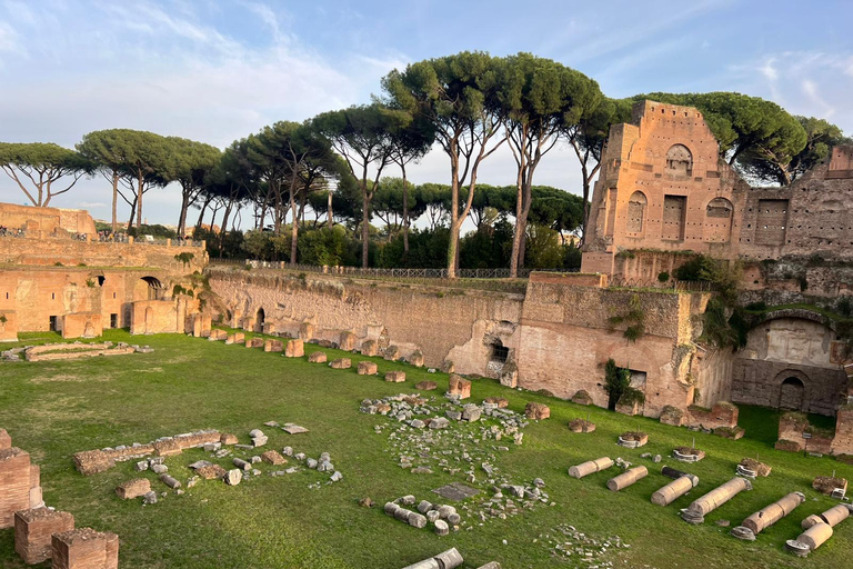 Small Group Guided Tour Colosseum Roman Forum, Palatine Hill Standard Tickets
