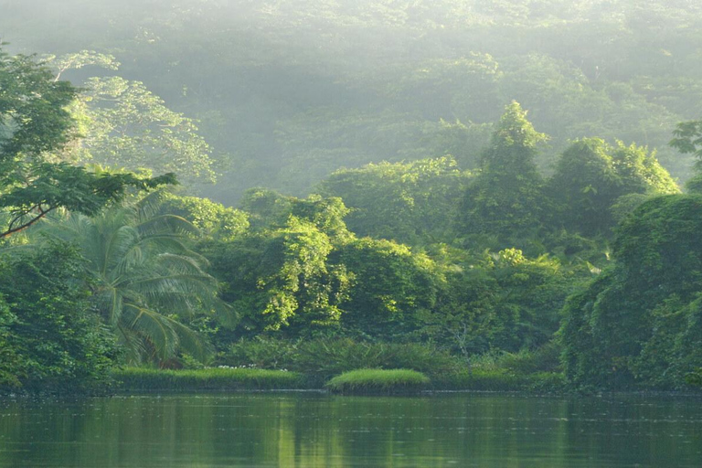 Parque Nacional del Corcovado: Dos días de selva y animales