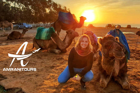 Paseo en camello al atardecer en la playa con cena incluida