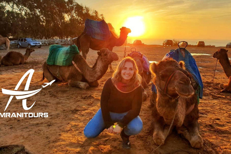 Paseo en camello al atardecer en la playa con cena incluida