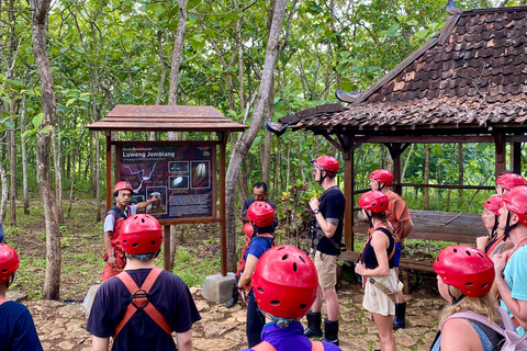 Yogyakarta: Jomblang Cave Adventure with Transfer