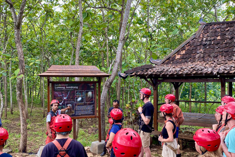 Yogyakarta: Jomblang Cave Adventure with Transfer