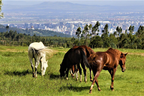 Entoto Horse Riding, Oromo Village & Nature Experience