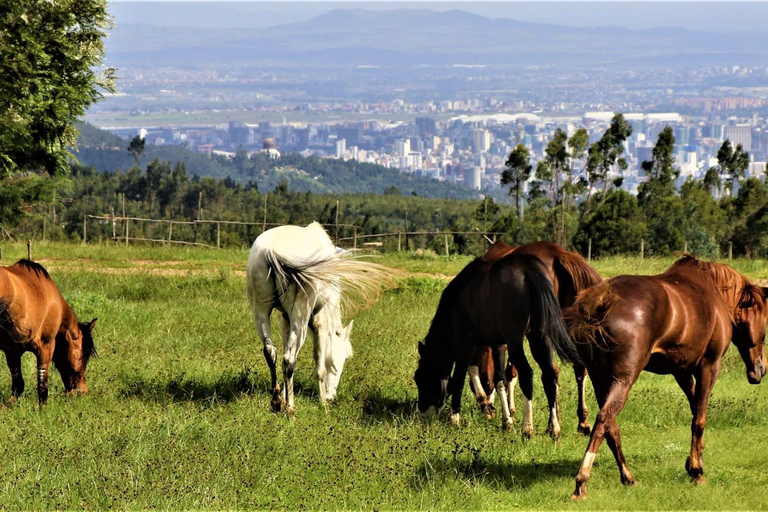 Entoto Horse Riding, Oromo Village & Nature Experience