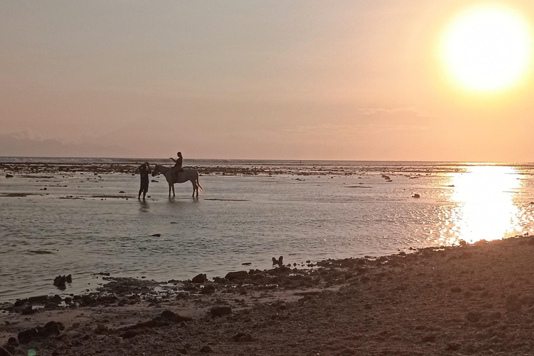 Gili Trawangan : Biking, Horse Riding, Paddle Boat & Sunset