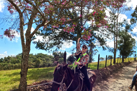 2-hour horseback riding + Private transportation + Photos & videos + Gift for the first 5 to book 2-hour horseback ride + private transportation + photos & videos + gift for the first 5 to book.