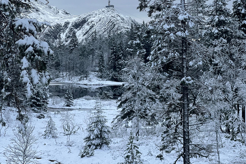 Aventura de inverno - Caminhadas na neve