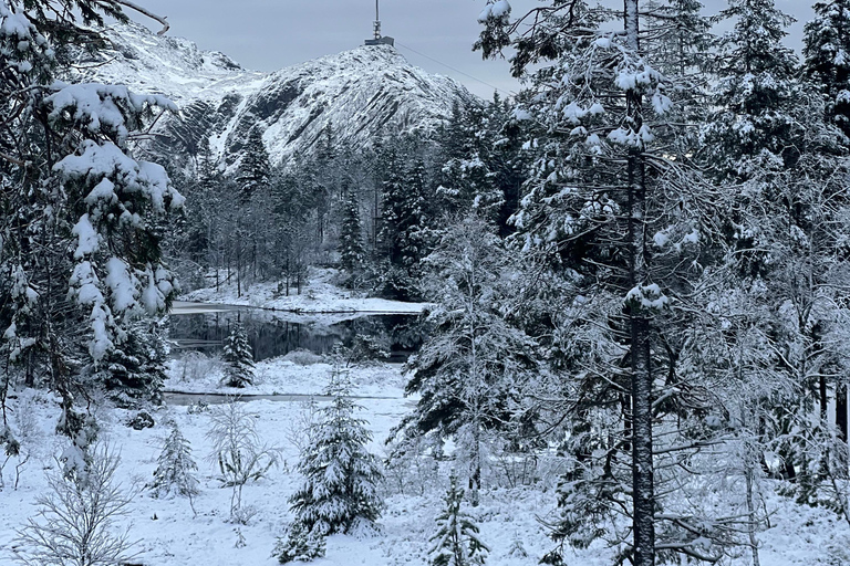 Aventura de inverno - Caminhadas na neve