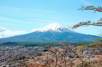 From Tokyo, Mt. Fuji Full-Day Sightseeing Trip - Housity
