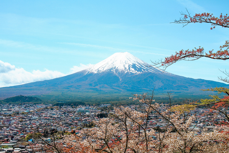 Da Tokyo: Escursione di una giornata intera sul Monte FujiDalla stazione di Shinjuku