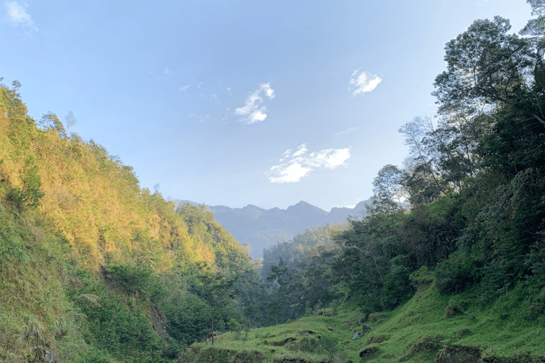 Yogyakarta: Merapi Vulkan Trekking Abenteuer im Ökotourismus