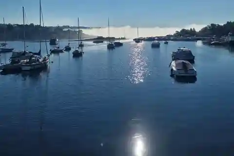 Oslo: Geführte Wanderung auf der Insel Malmøya mit Waffel und Getränk