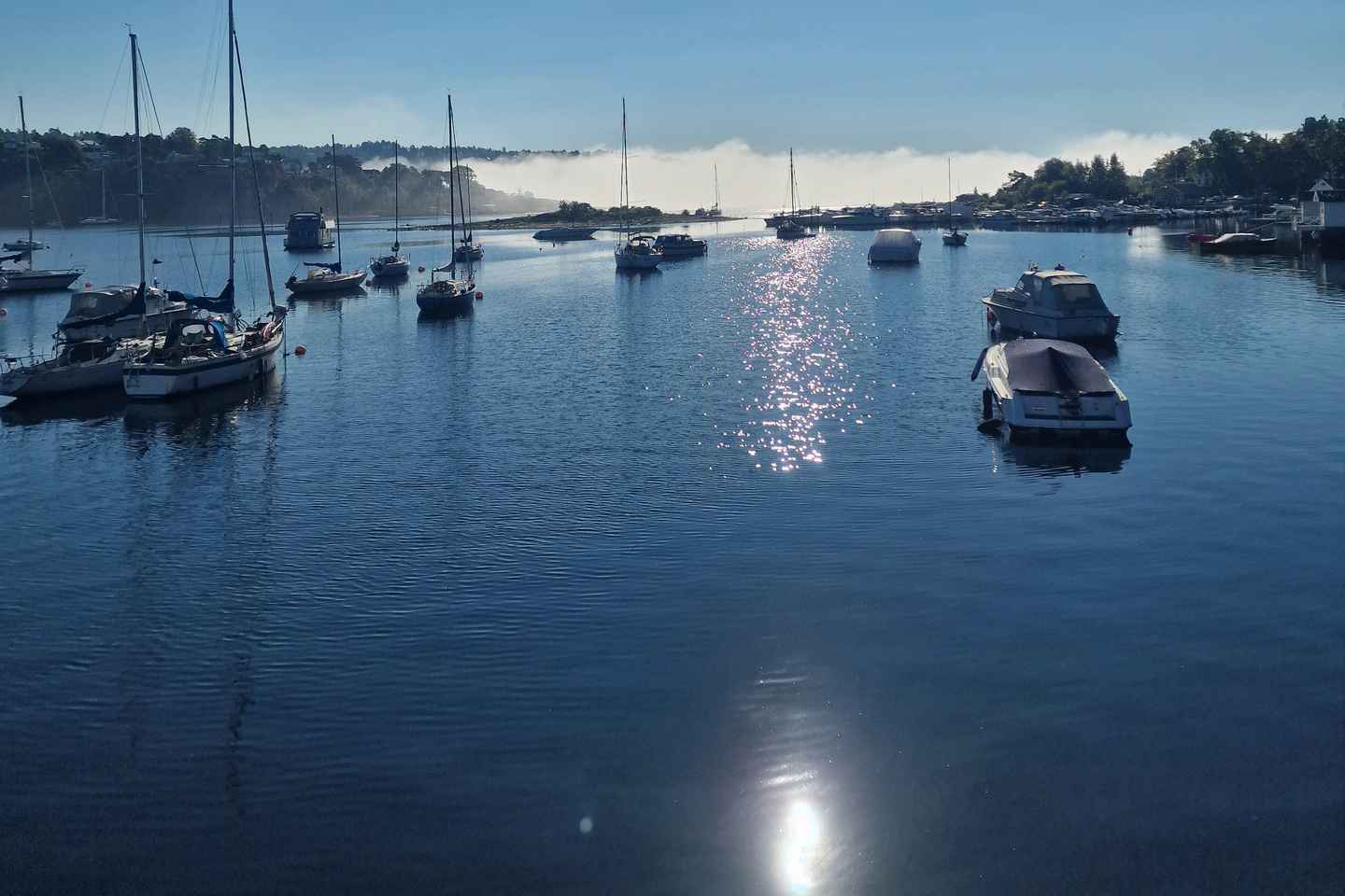 Oslo: Malmøya Island Guided Hike with Waffle and Drink