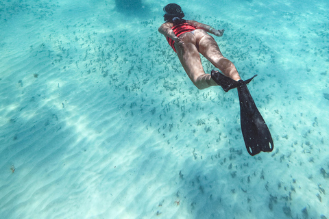 Catamarã Deluxe para Isla Mujeres pelo melhor preço