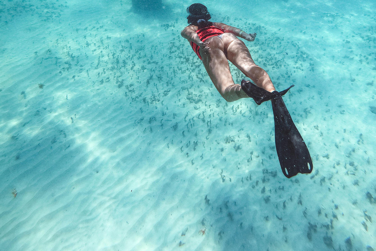 Catamarã Deluxe para Isla Mujeres pelo melhor preço