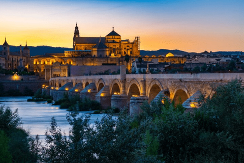 Cordoba Private Daytrip from Sevilla by train