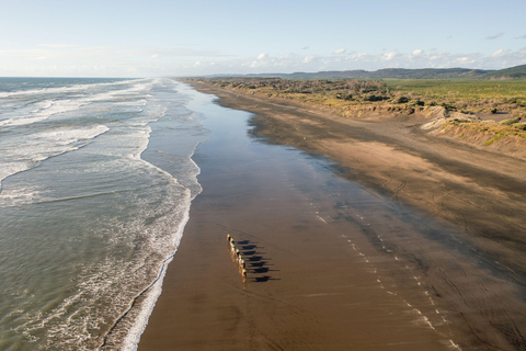 Muriwai Beach 2-Hour Horse Trek Experience