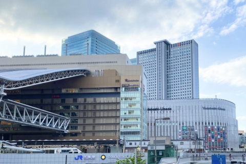 Osaka: Private Customizable Shopping Tour with Guide Osaka: 4Hour Private Customizable Shopping Tour with Guide