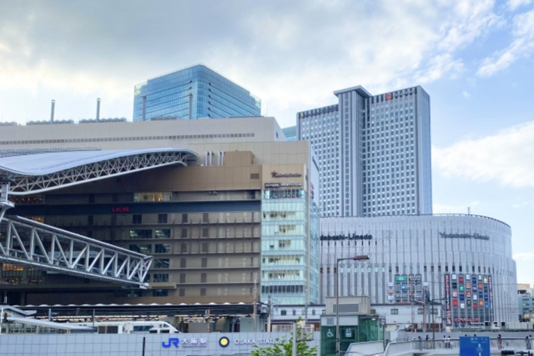 Osaka: Private Customizable Shopping Tour with Guide Osaka: 4Hour Private Customizable Shopping Tour with Guide