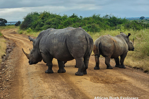 Nairobi: Orfanato de elefantes Sheldrick y safari de 3 horas