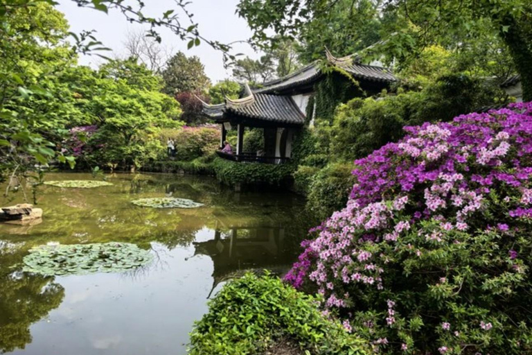 Shanghai: Huishan Ancient Town & Tai Lake Private Day Trip