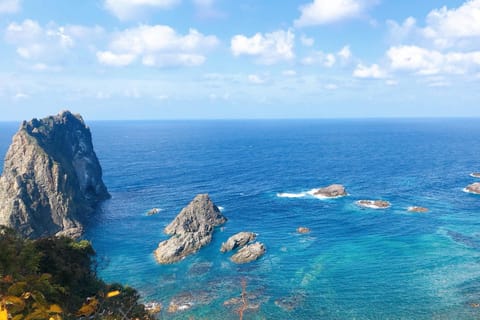 Private Shore Excursion: Cape Kamui & Shakotan Coast - Image 2